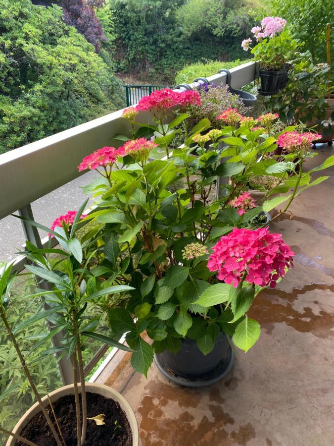 Appartement Monseigneur 瓦讷 外观 照片